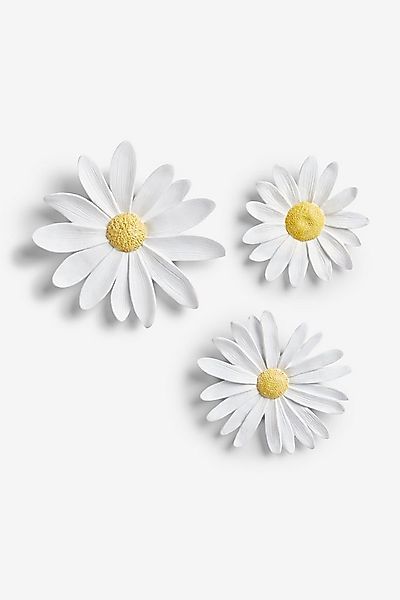Next Wanddekoobjekt Wandkunst Gänseblümchen, 3er-Set günstig online kaufen