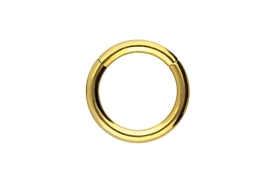 PIERCINGLINE Nasenpiercing Titan Segmentring Clicker Ohrpiercing günstig online kaufen