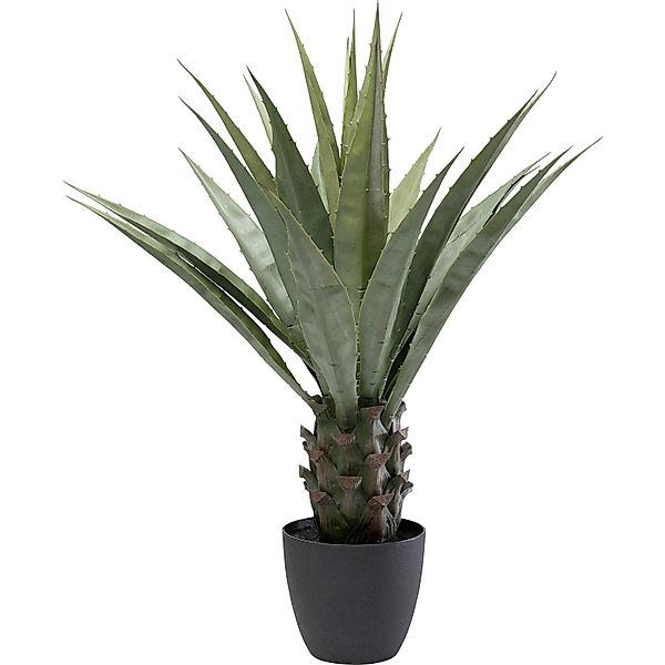 Künstliche Zimmerpflanze Agave, Kare Design, Höhe günstig online kaufen