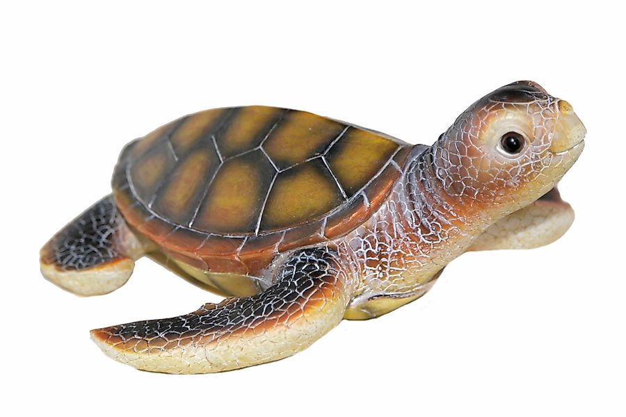Casa Collection by Jänig Tierfigur Wasserschildkröte günstig online kaufen