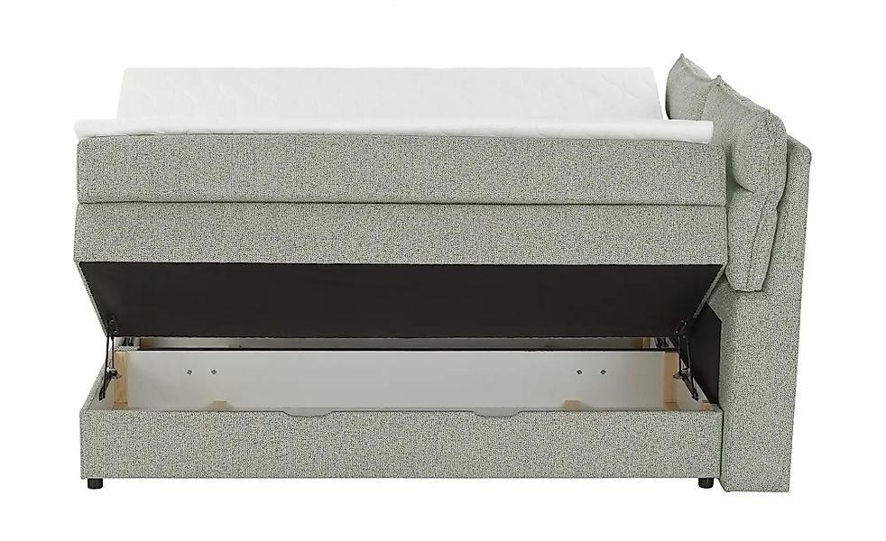 Boxspringbett mit Bettkasten Neto ¦ grün ¦ Maße (cm): B: 193 H: 109 Betten günstig online kaufen