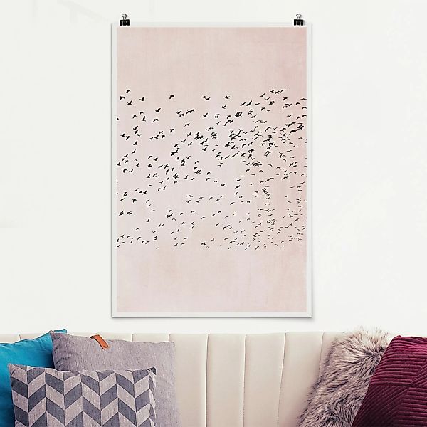 Poster Tiere Vogelschwarm im Sonnenuntergang günstig online kaufen