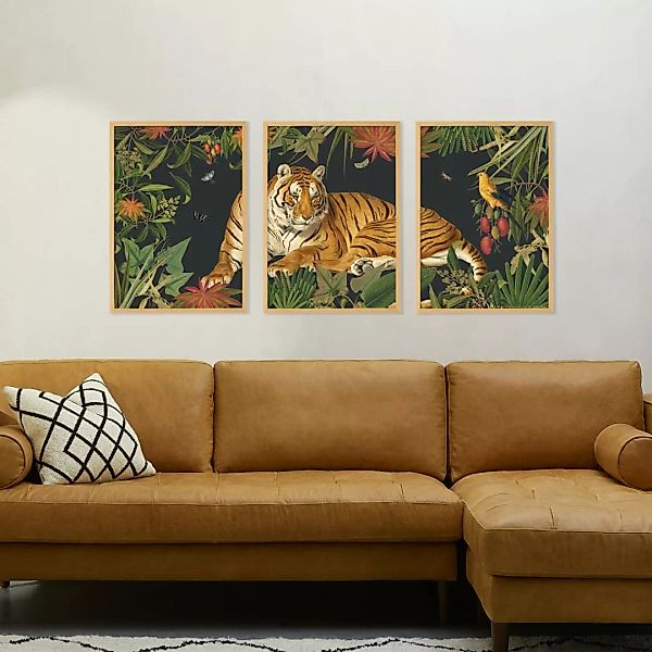 3 x Natural History Museum 'Vintage Tiger' gerahmte Kunstdrucke (A2) - MADE günstig online kaufen