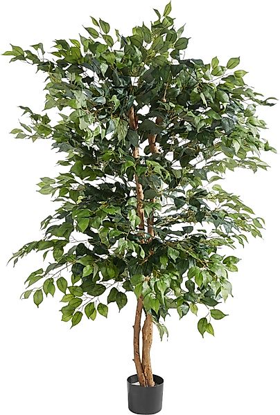 Creativ green Kunstpflanze "Ficus Benjamini" günstig online kaufen