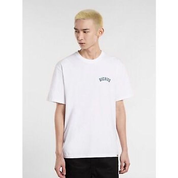 Dickies  T-Shirts & Poloshirts CIRCLE DK0A4Z950WH1-WHITE günstig online kaufen