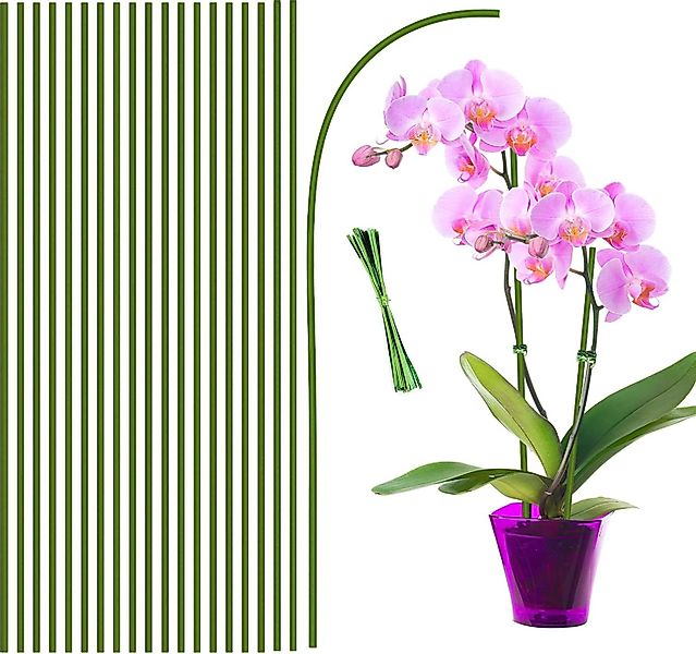 Kaket Rankhilfe Pflanzenstütze 40CM, 20 Stück günstig online kaufen