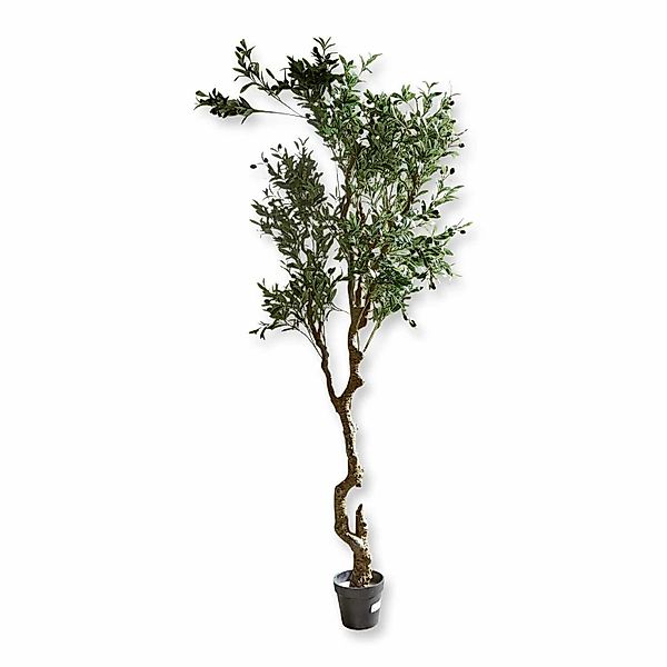 Kunstblume Deko-Topfpflanze Dambly grün, Mirabeau, Höhe günstig online kaufen