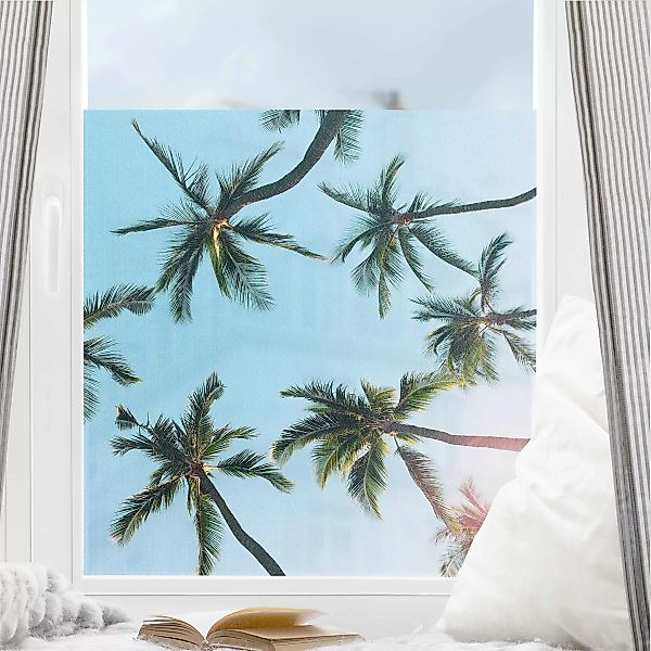 Fensterfolie Palmengiganten im Himmel günstig online kaufen