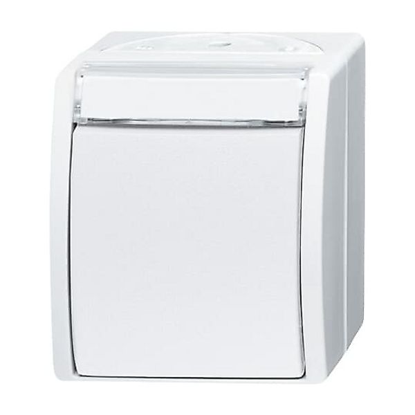 Busch-Jaeger Wechselschalter 2601/6 WN-54 günstig online kaufen