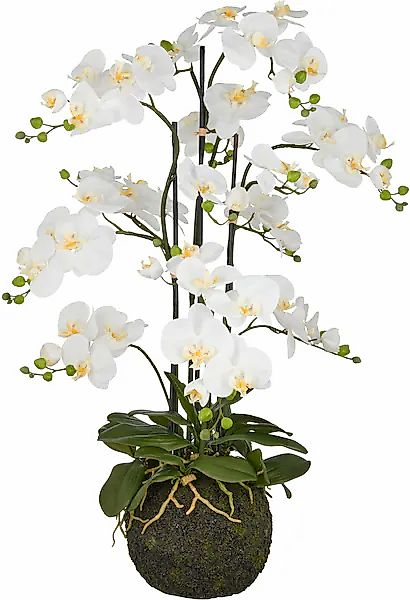 Creativ green Kunstorchidee »Orchidee Phalaenopsis« mit künstlichem Erdball günstig online kaufen