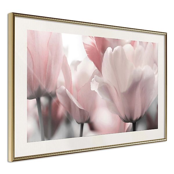 Poster - Pastel Tulips Ii günstig online kaufen