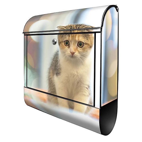 Banjado Design Briefkasten Schwarz Pulverbeschichtet 39x47x14cm 2 Schlüssel günstig online kaufen