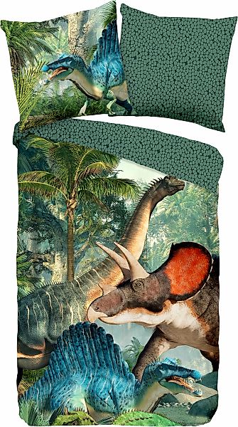 good morning Kinderbettwäsche »Jurassic«, Baumwolle, 135x200, Reißverschlus günstig online kaufen