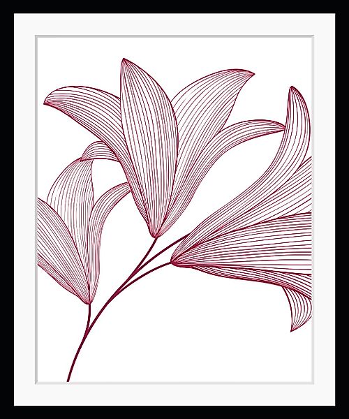 queence Bild »Imsa«, Blumen, (Set), gerahmt, Blumen günstig online kaufen