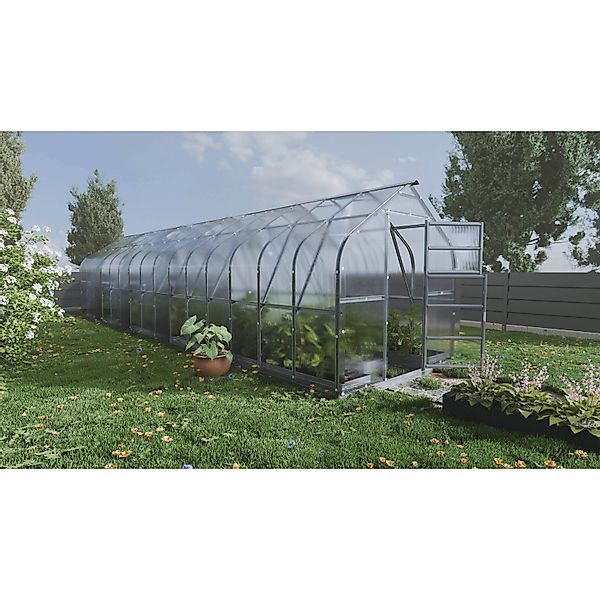 Klasika Greenhouses Standart KLASIKA Gewächshaus 30m2, 2,5m x 12m, 4 mm Pol günstig online kaufen