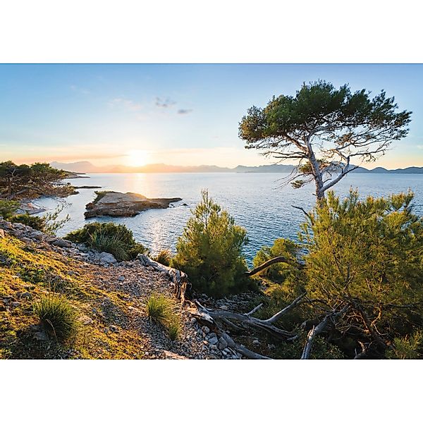 Vlies Fototapete Licht des Südens 400x280 cm günstig online kaufen