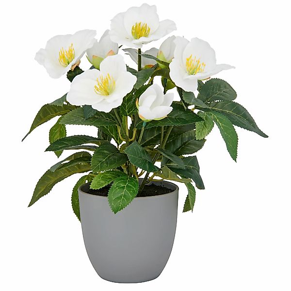 Creativ green Kunstblume "Christrose" günstig online kaufen