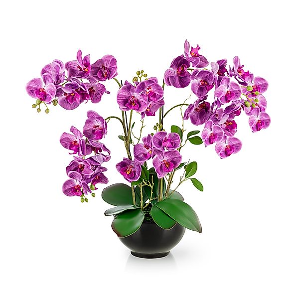 Kunstorchidee PASCH® XXL Orchidee künstlich wie günstig online kaufen