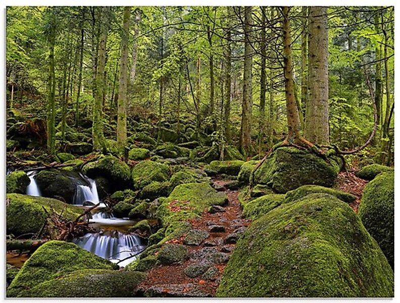 Artland Glasbild »Zauberwald mit Bach« Wald 1 Stk. tlg. in verschiedenen Gr günstig online kaufen