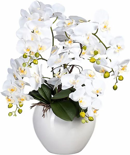 Creativ green Kunstorchidee »Phalaenopsis im Keramiktopf« günstig online kaufen