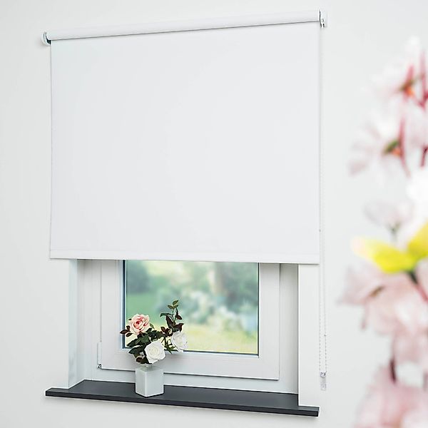 Liedeco Seitenzugrollo »Uni« verdunkelnd energiesparend mit Bohren günstig online kaufen