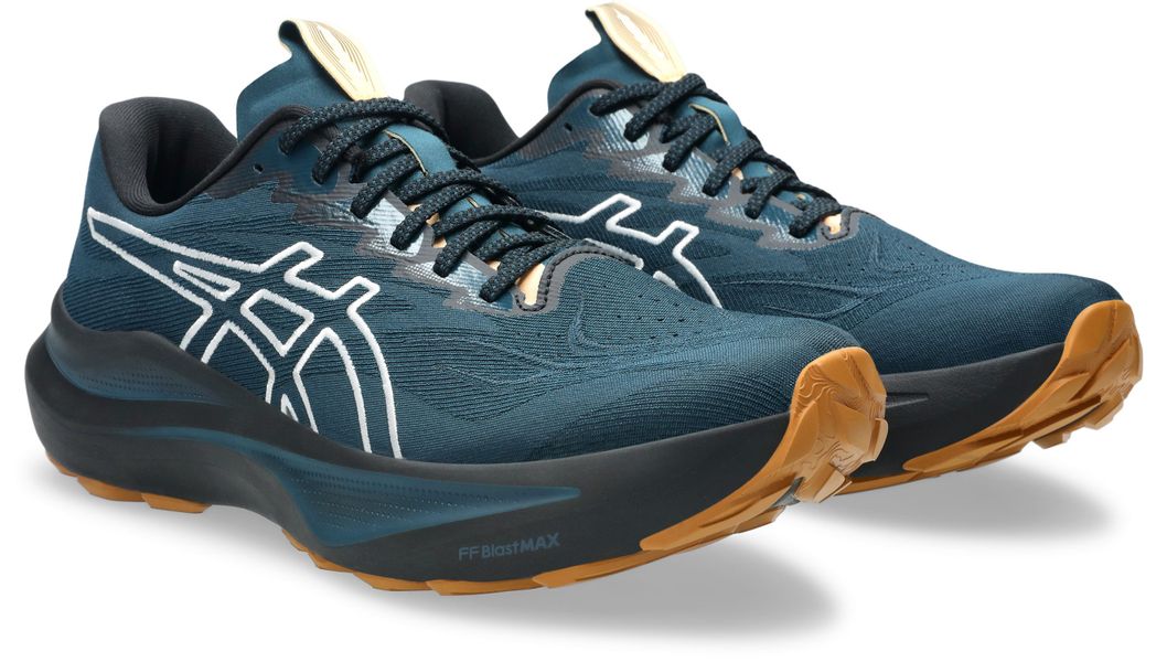 Asics GT-2000 14 TR Laufschuh für günstig online kaufen