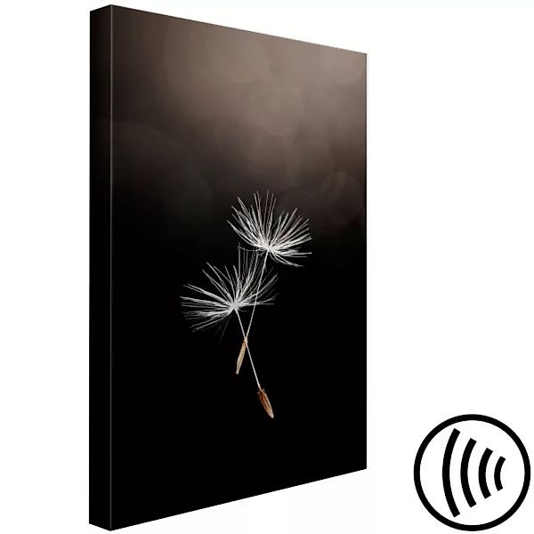 Wandbild Zwei Pusteblumen-Samen - Boho-Fotografie auf einem dunklen Hinterg günstig online kaufen