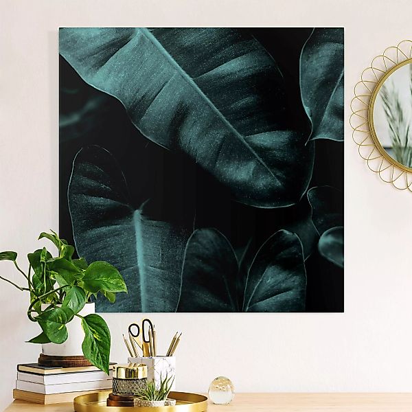 Leinwandbild Dschungel Blätter Dunkelgrün günstig online kaufen