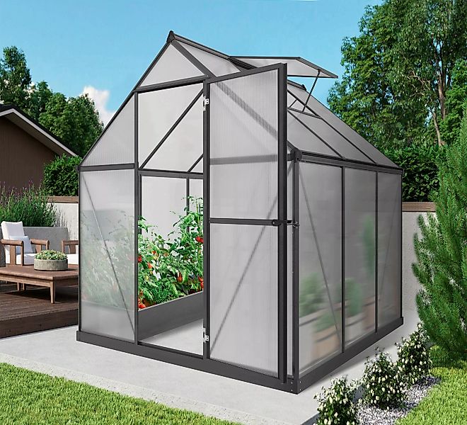 KONIFERA Gewächshaus, BxTxH: 182 x 185 günstig online kaufen