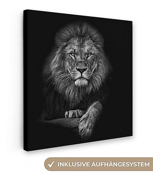 OneMillionCanvasses® Leinwandbild Löwe - Tiere - Schwarz - Weiß, Fotodruck günstig online kaufen