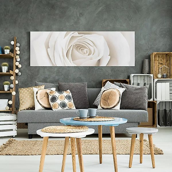 home24 Leinwandbild Pretty White Rose II günstig online kaufen