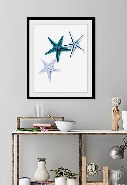 queence Bild "Laura", Meer-Wassertiere-Kunst, (1 St.), HD Premium Poster-Dr günstig online kaufen