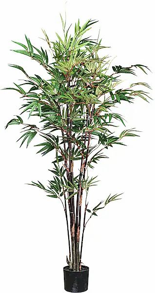 Creativ green Kunstpflanze »Bambus Chinese Wonder« mit 7 Stämmen günstig online kaufen