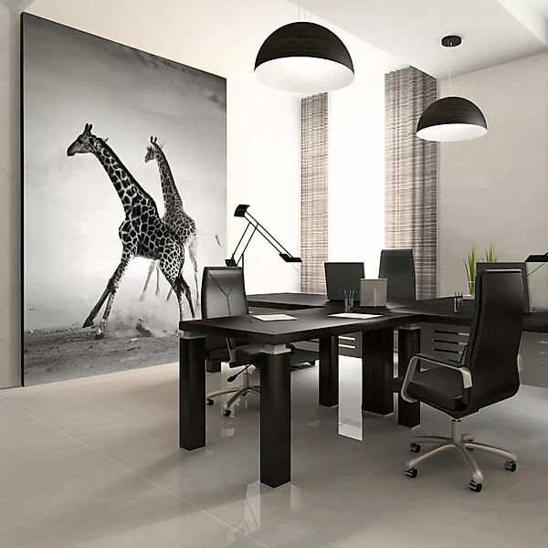 Fototapete - Giraffen günstig online kaufen