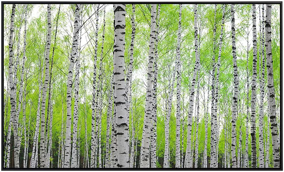 Papermoon Infrarotheizung »Tiefer Wald«, sehr angenehme Strahlungswärme günstig online kaufen