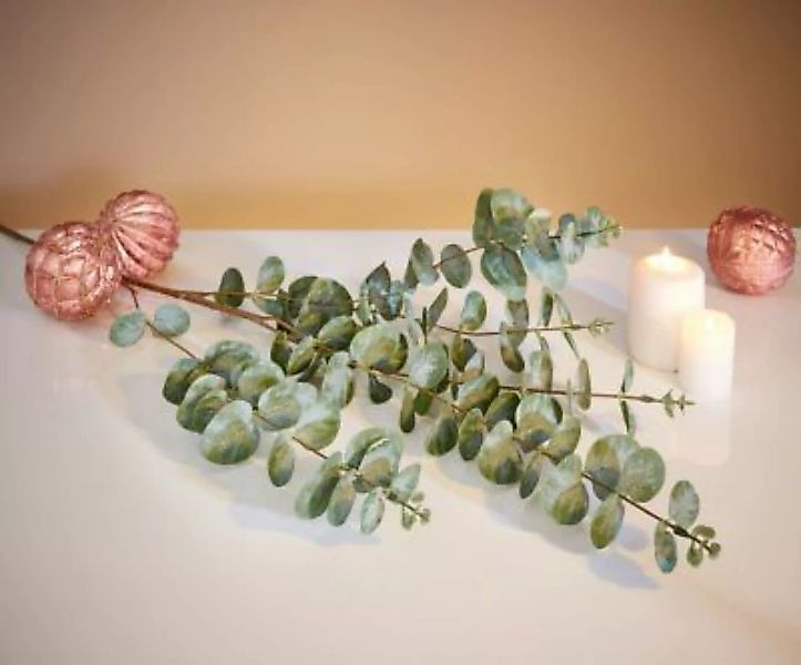 HOME Living Zweig SPAR-SET 2x Eukalyptus Kunstpflanzen grün günstig online kaufen