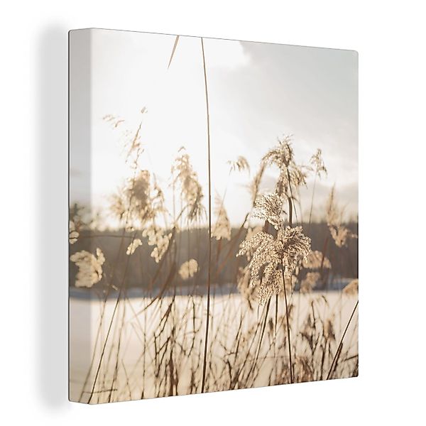 OneMillionCanvasses® Leinwandbild Wasser - Pampasgras - günstig online kaufen