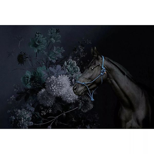 Fototapete Pferd Blumenbouquet Schwarz Blau 4,00 m x 2,70 m FSC® günstig online kaufen