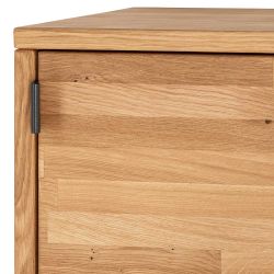 Regalwürfel mit Tür aus Wildeiche Massivholz geölt 38x38 cm günstig online kaufen