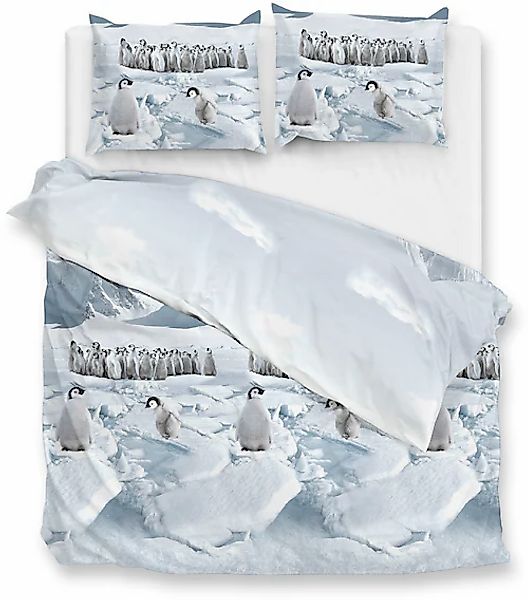 ZO HOME Bettwäsche »Pinguini«, Bettwäsche aus 100% Baumwolle, hochwertige F günstig online kaufen