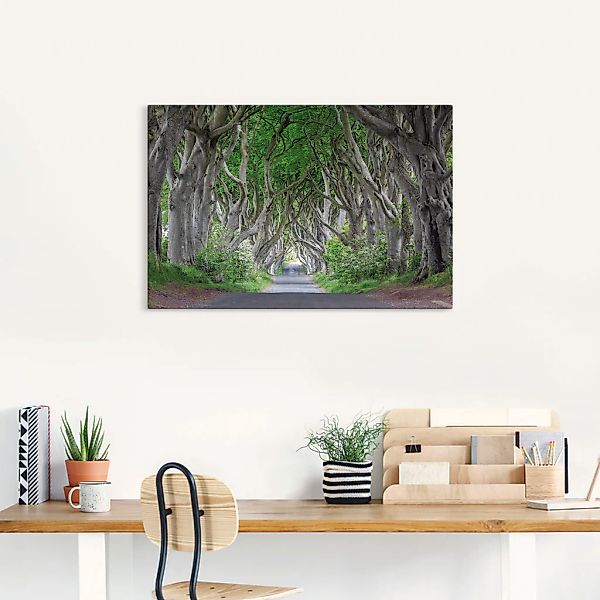 Artland Wandbild »Straße durch den Zauberwald«, Waldbilder, (1 St.), als Al günstig online kaufen