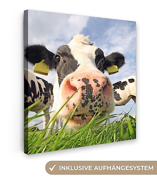 OneMillionCanvasses® Leinwandbild Kuh - Bauernhof - günstig online kaufen