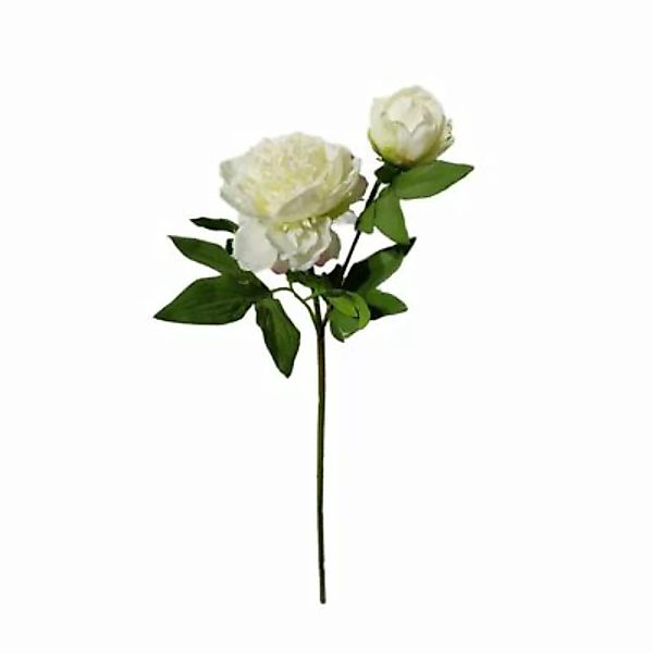 HTI-Living Pfingstrose 23 cm Kunstblume Flora weiß günstig online kaufen
