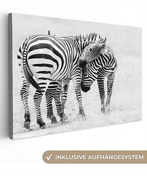 OneMillionCanvasses® Leinwandbild Zebra - Tiere - Natur - Safari, Fotodruck günstig online kaufen