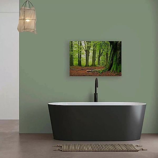 Bricoflor Leinwandbild Natur 120X80 Cm Deko Wandbild Mit Wald Motiv Für Woh günstig online kaufen