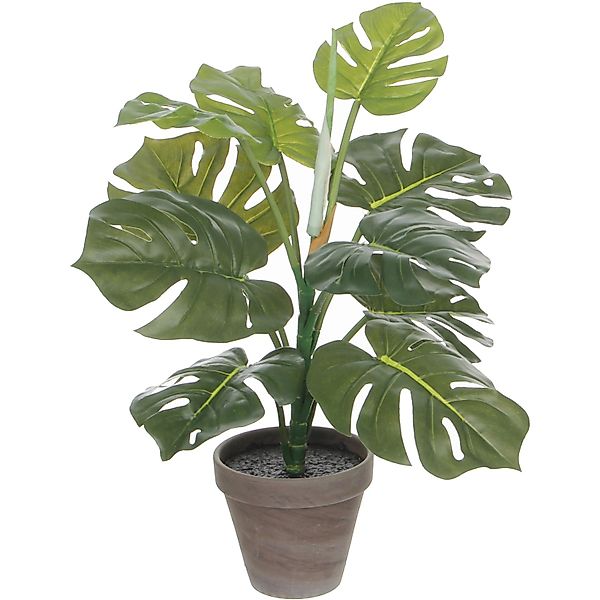 Mica Decorations Kunstpflanze Monstera H 48 cm, Ø: 39 cm günstig online kaufen