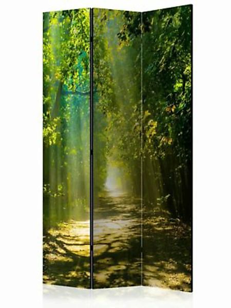 artgeist Paravent Road in Sunlight [Room Dividers] braun-kombi Gr. 135 x 17 günstig online kaufen