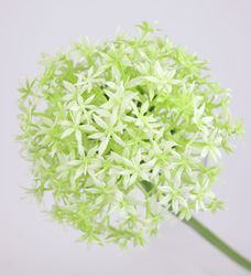 Kunstblume Allium Zierlauch, I.GE.A., Höhe 80 günstig online kaufen
