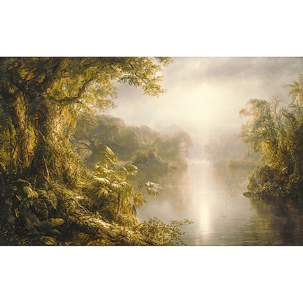 Komar Vliestapete Rio de Luz  400 x 250 cm günstig online kaufen