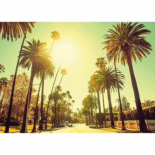 Komar Bild "Palm Alley", Städte, (1 St.), Wandbild zur Dekoration - ohne Ra günstig online kaufen